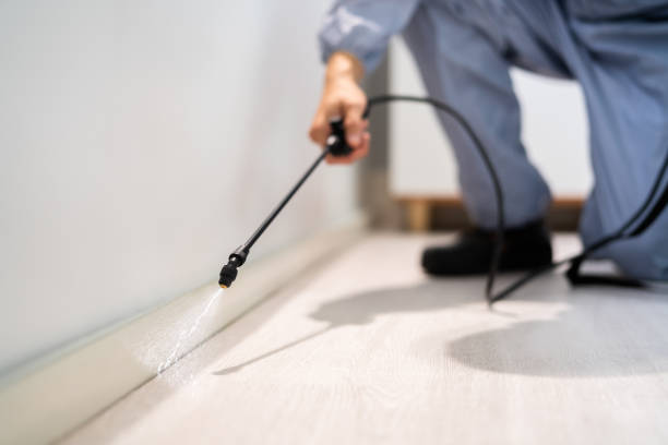 Licensed Pest Control service in Wolverine Lake, MI - Show Me Pest Control