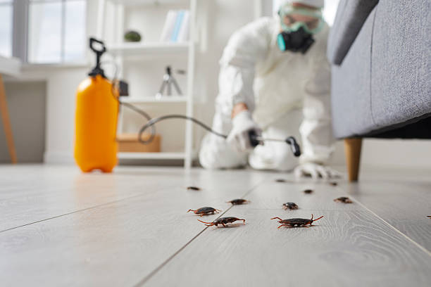 Post-Treatment Bed Bug Interceptor Monitoring in Wolverine Lake