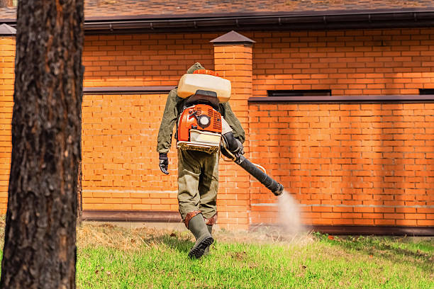 Bed Bug Clearance Verification and Documentation in Wolverine Lake